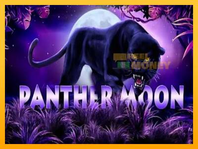 Spillemaskine Panther Moon