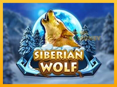 Spillemaskine Siberian Wolf