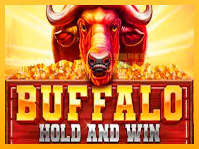 Spillemaskine Buffalo Hold and Win Extreme