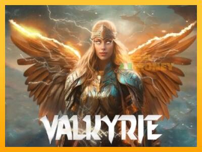 Spillemaskine Valkyrie